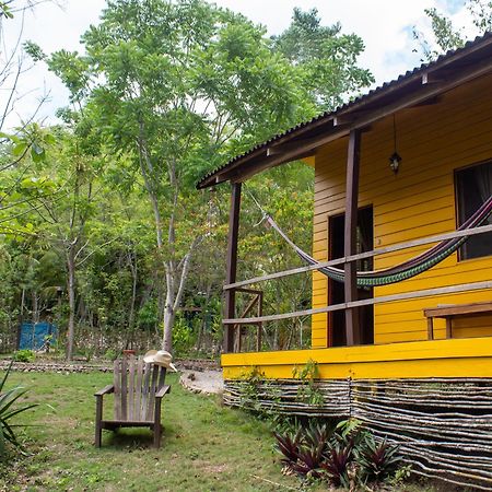 Alice Guesthouse El Remate Ngoại thất bức ảnh