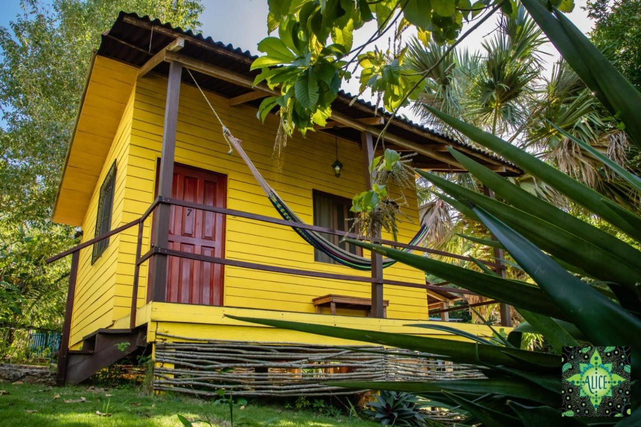 Alice Guesthouse El Remate Ngoại thất bức ảnh