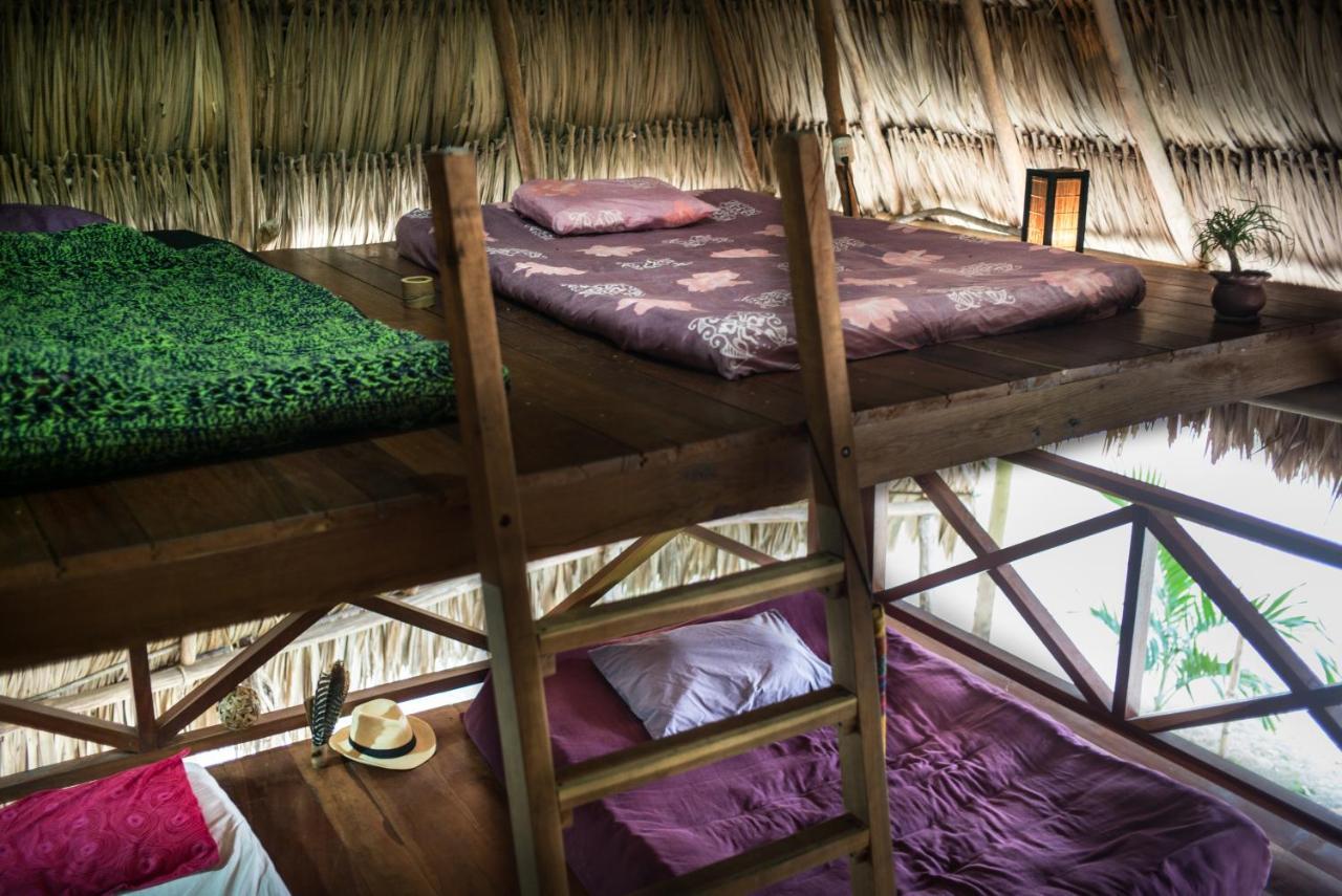 Alice Guesthouse El Remate Ngoại thất bức ảnh