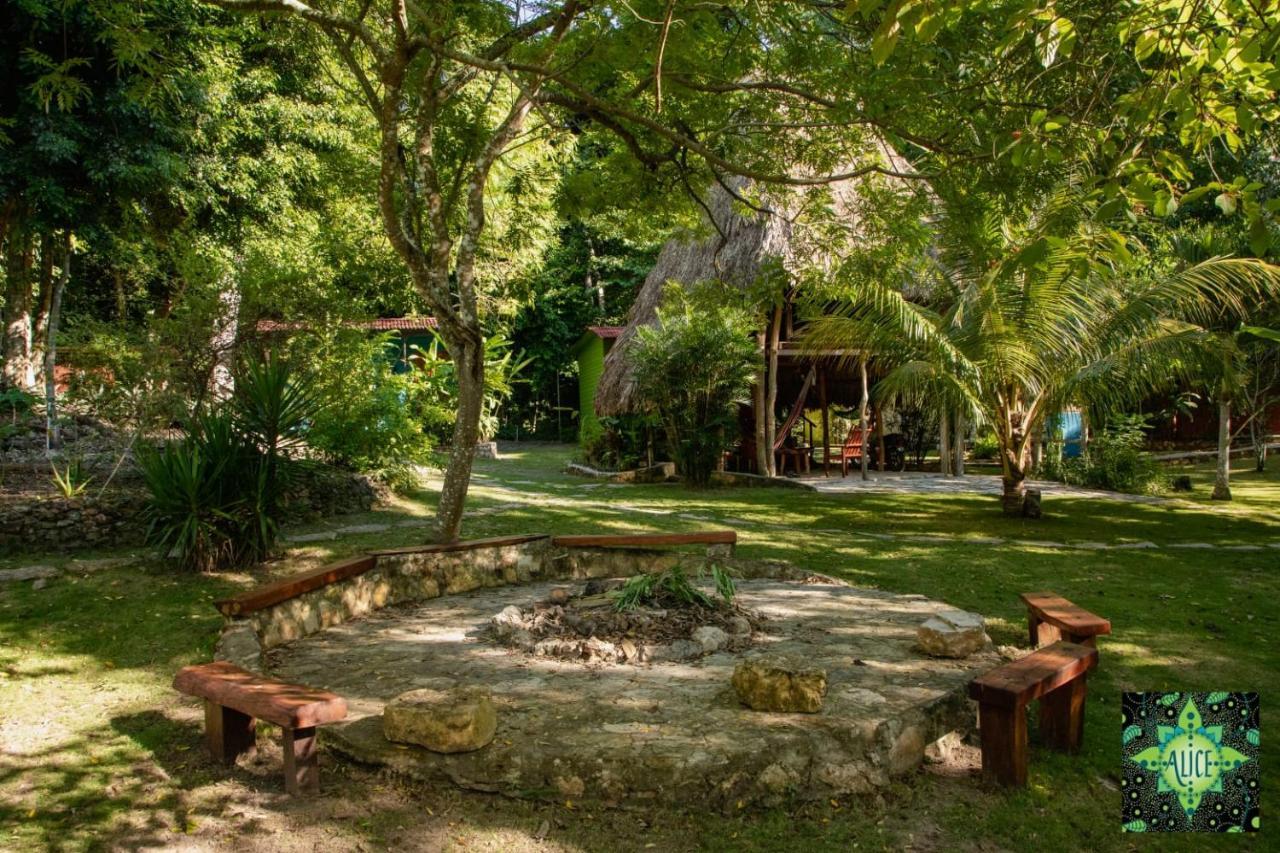 Alice Guesthouse El Remate Ngoại thất bức ảnh