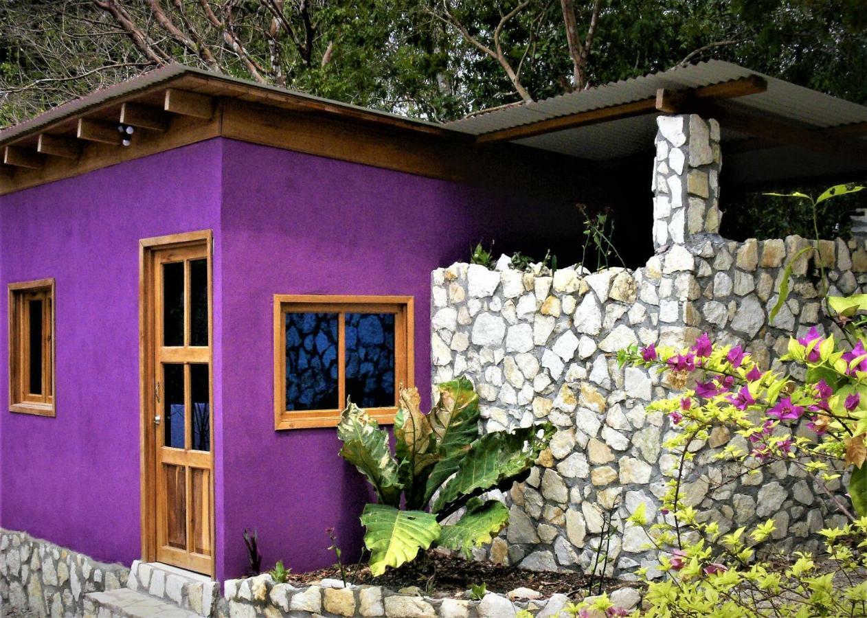 Alice Guesthouse El Remate Ngoại thất bức ảnh